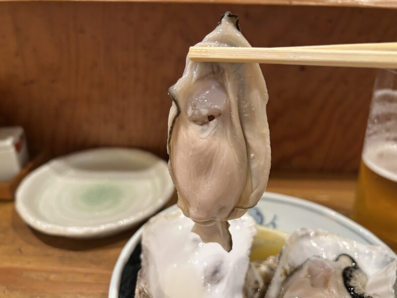 代々木上原「鰾」知内産は身が引き締まり濃厚でクリーミー