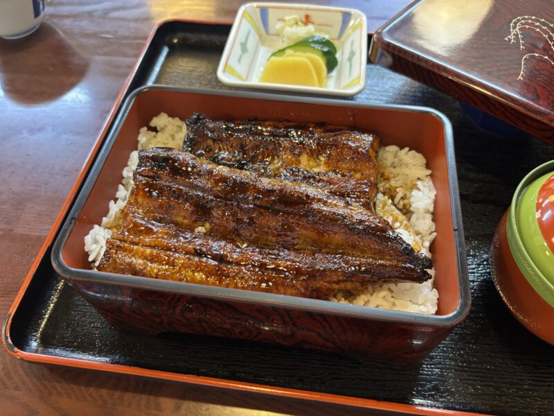 浜松「八百徳」艶やかな鰻がぎっしり詰まった上鰻重