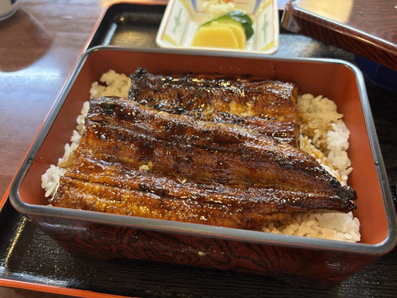 浜松「八百徳」皮目が香ばしく焼かれた上鰻重