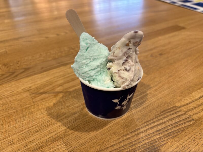 横須賀「ジェラートファクトリー」ツノが立つほど濃厚な思わず見惚れる手づくりジェラート