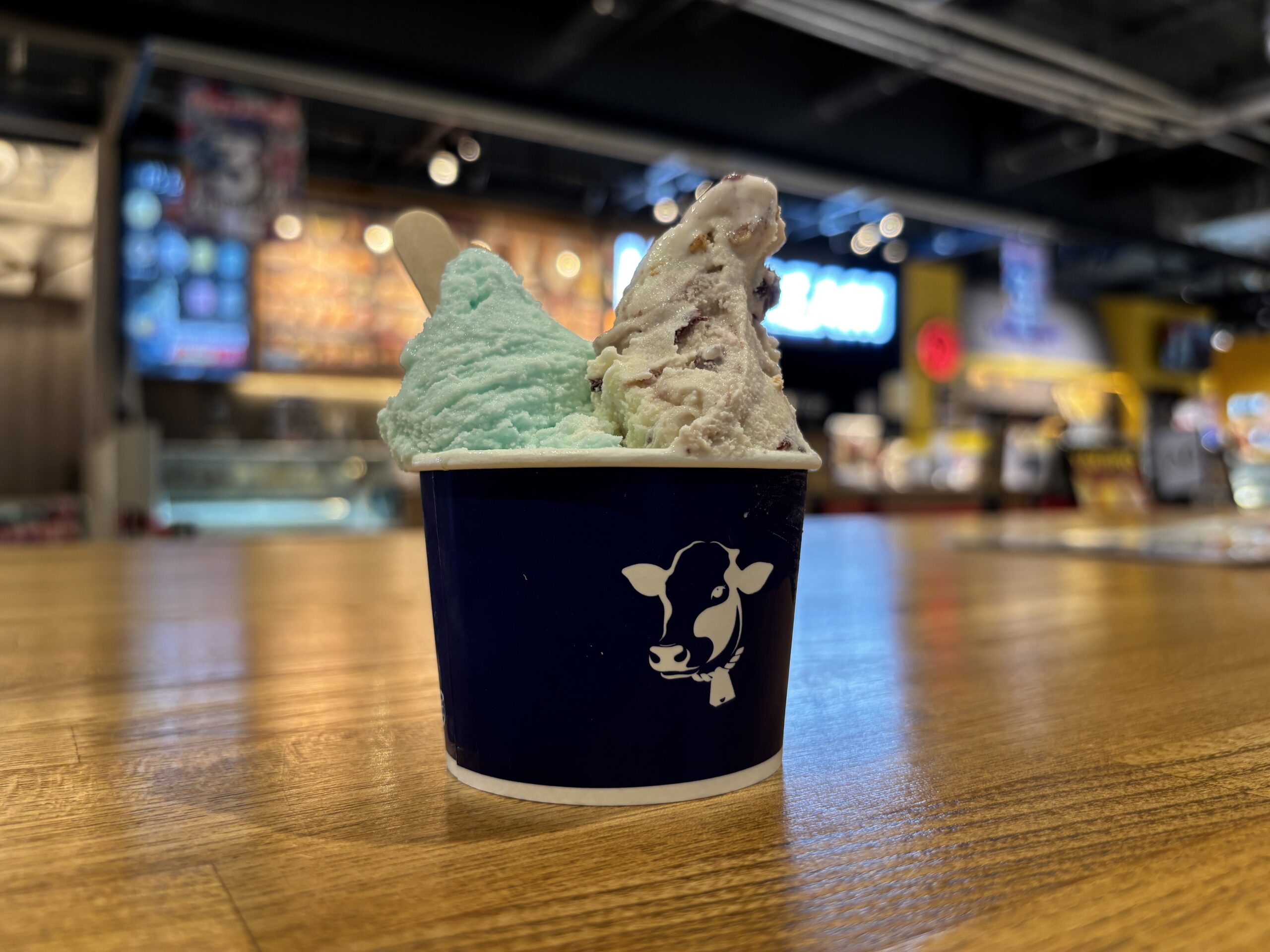 横須賀「ジェラートファクトリー」横須賀の青空と一緒に味わ絶品ジェラート