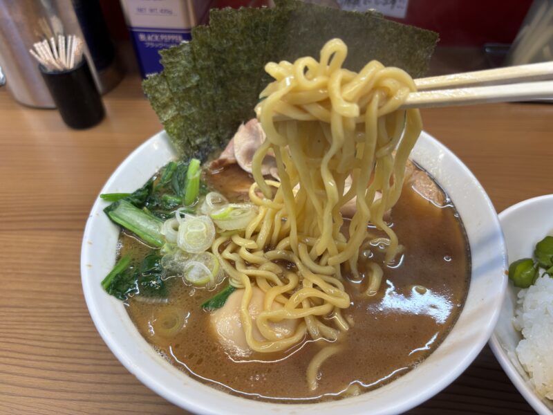 中野坂上「麺家たいせい」家系ラーメンで定番の“酒井製麺”の中太平打ち麺
