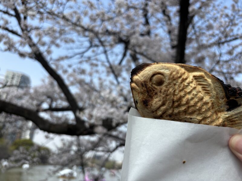 根津「根津のたいやき」上野公園の桜の下で食べる“根津のたい焼き”